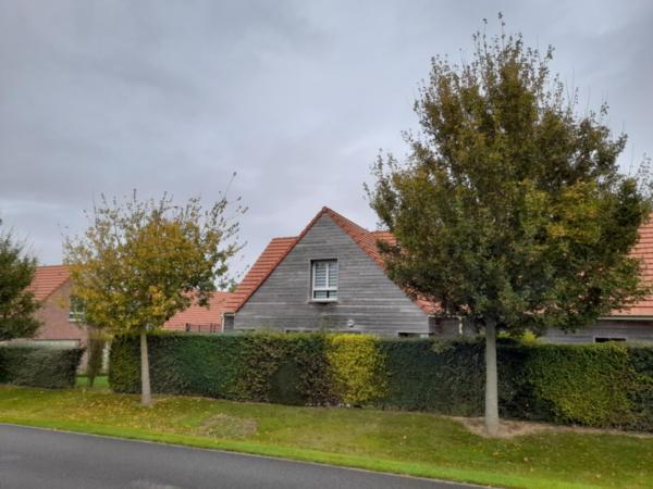 FRIVILLE RUE DES COQUELICOTS